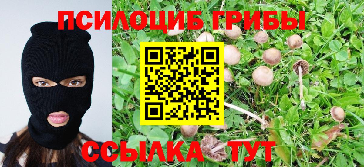 Псилоцибиновые грибы прущие грибы Тайшет