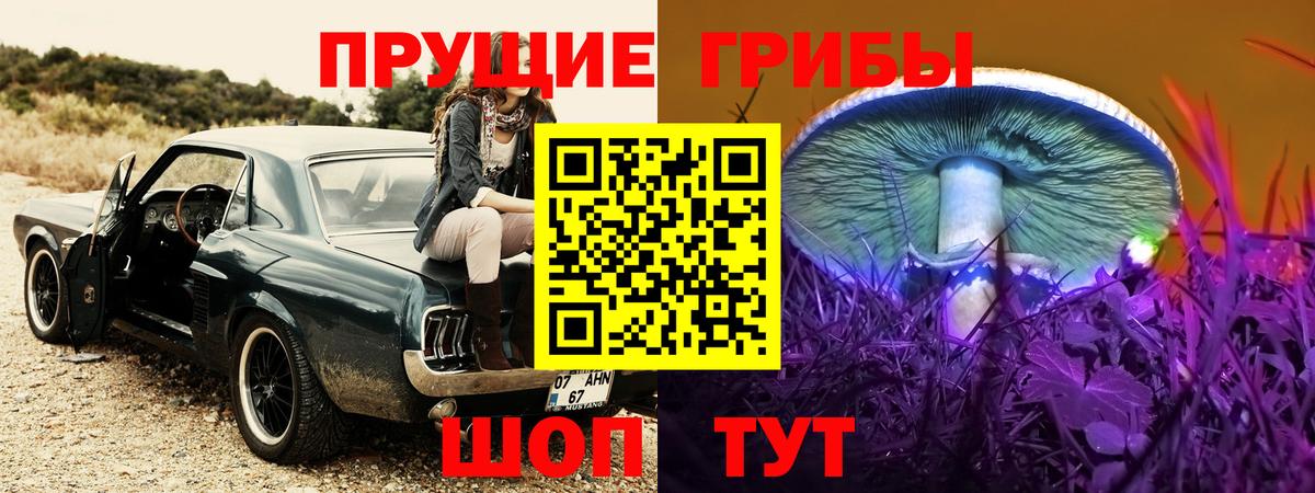 Тайшет  Псилоцибиновые грибы GOLDEN TEACHER  Галлюциногенные грибы MAGIC MUSHROOMS  Вход с VPN 